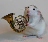 hamster playing horn