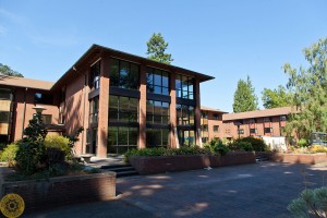 Ordal remodel at PLU on Monday, Aug. 17, 2015. (Photo: John Froschauer/PLU)
