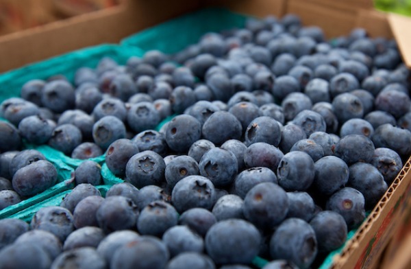 berry-fest-251-7-9-14 Blueberries