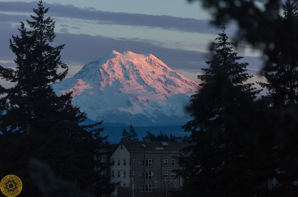 Mt Rainier image