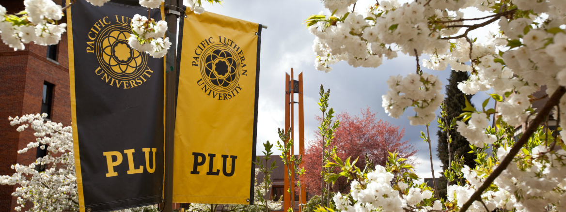 PLU banners with clock tower and blossoming cherry trees