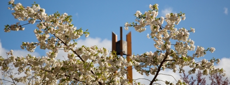 spring-clock-tower