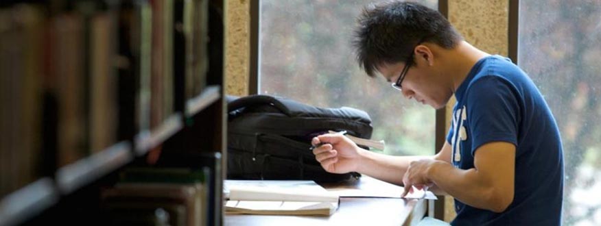 Studying student in the library