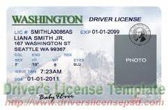 Washington State drivers license