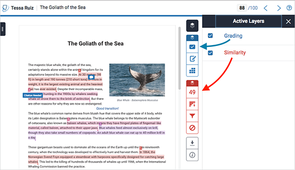 Feedback Studio Tool Bars