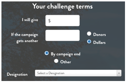 Screenshot of the GiveCampus "Challenge Terms" section