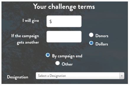 Screenshot of the GiveCampus "Challenge Terms" section Screenshot of the GiveCampus "Challenge Terms" section