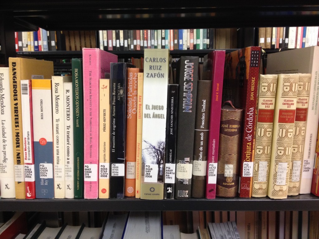 Shelf with books