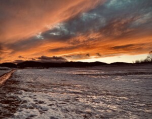 photo: Noah Dunham “Ice Ice Baby”