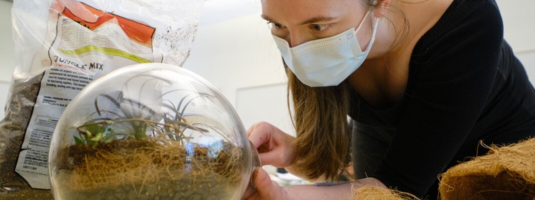Student adds plants to a glass biosphere