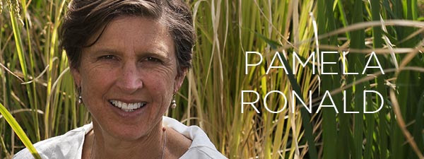 Pamela Ronald Pamela Ronald, THE RACHEL CARSON SCIENCE, TECHNOLOGY & SOCIETY ANNUAL LECTURE