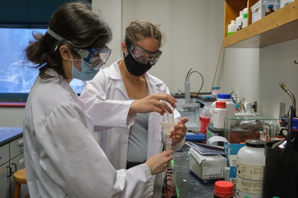 Two chemistry students working together