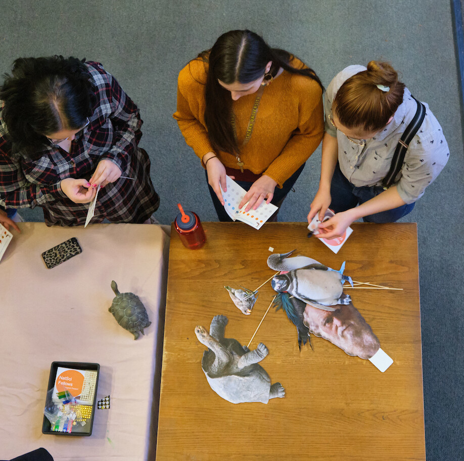 Students working on a table on Darwin day