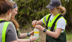 students testing water