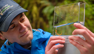 biology student with salamander