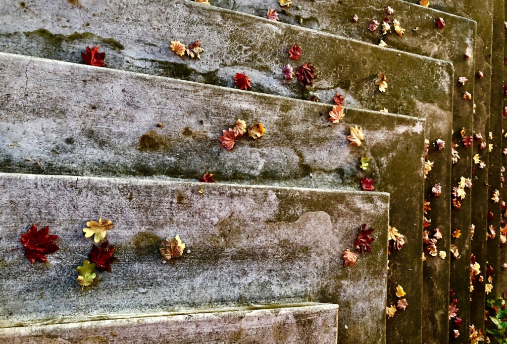 steps with leaves