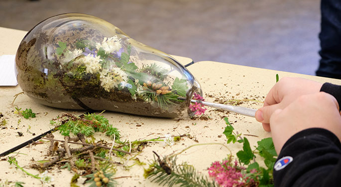 a biosphere filled with plants