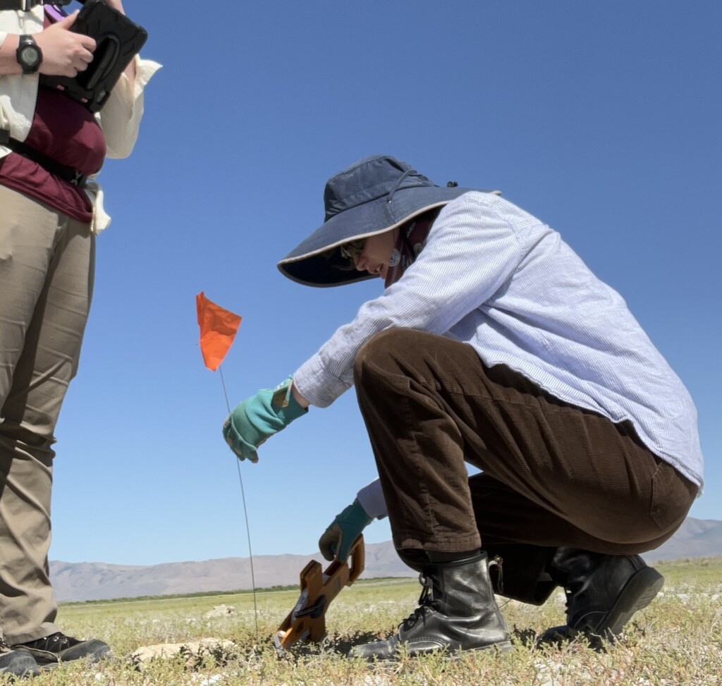 planting a marking flag in a field