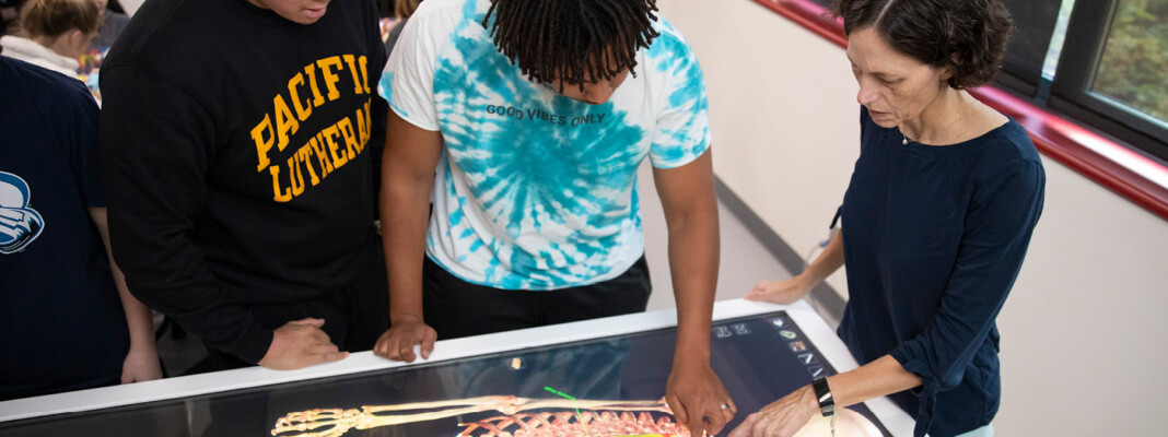 students at a virtual dissection table