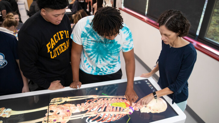 students at a virtual dissection table