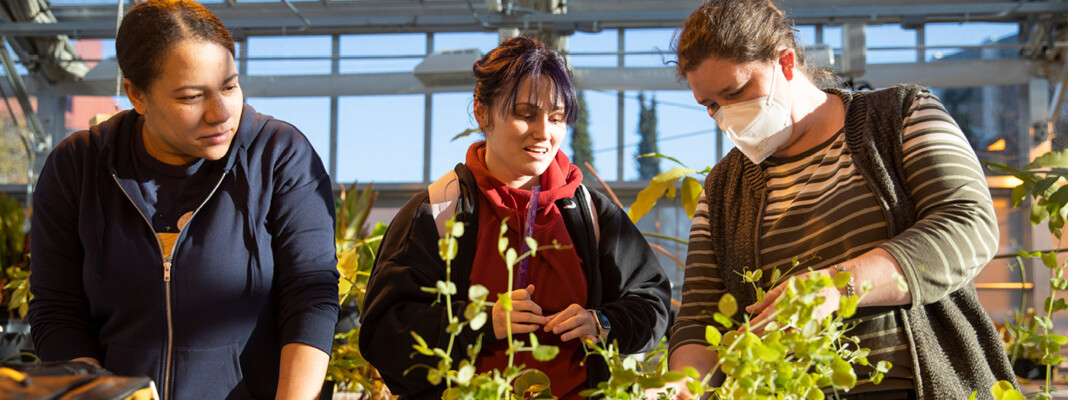 Dr. Neva Laurie-Berry works with students in the greenhouse