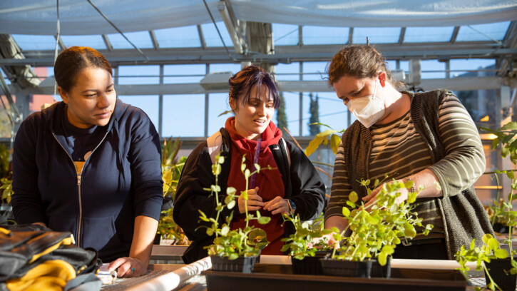 Dr. Neva Laurie-Berry works with students in the greenhouse