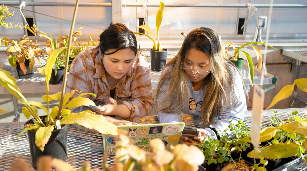 students studying plants in the greenhouse