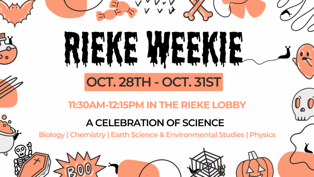 Rieke Weekie (8) Rieke Weekie banner with spiders and bats and pumpkins