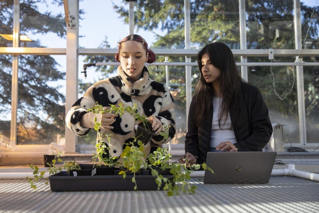 20221117_SB_BIOL-358_101-medium Two women working with plants and a laptop.