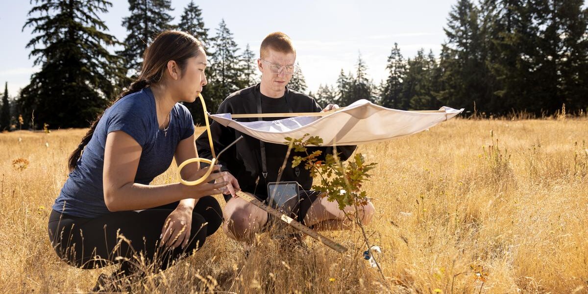 Woman and man consulting map while hiking in grassland
