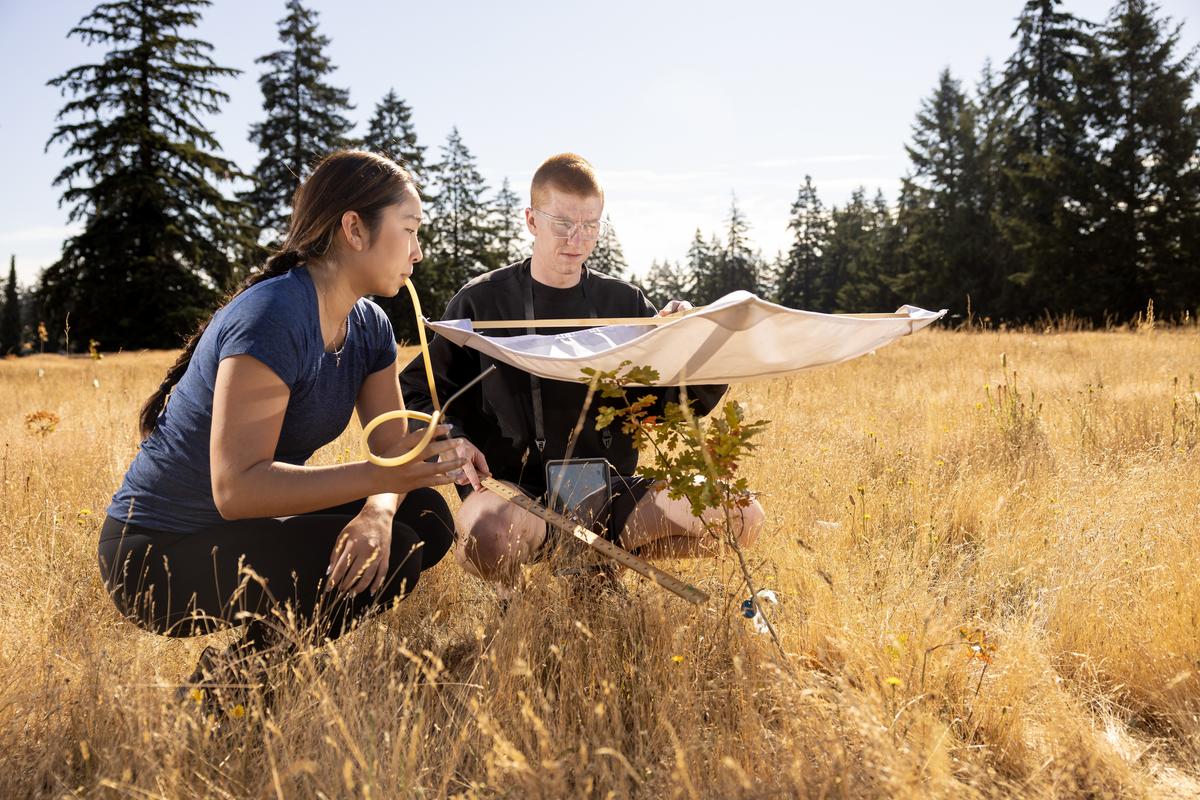 20260714_SB_NSSURP-Resolute-Research_016-medium Woman and man consulting map while hiking in grassland