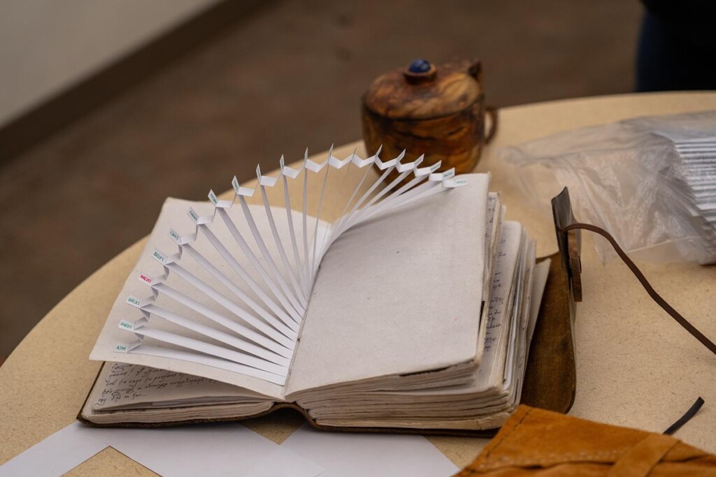 MorkenMadness-03-medium Open book with fan-shaped cards on a table.