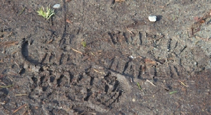 Footprint in the dirt