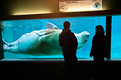 Point Defiance Zoo and Aquarium