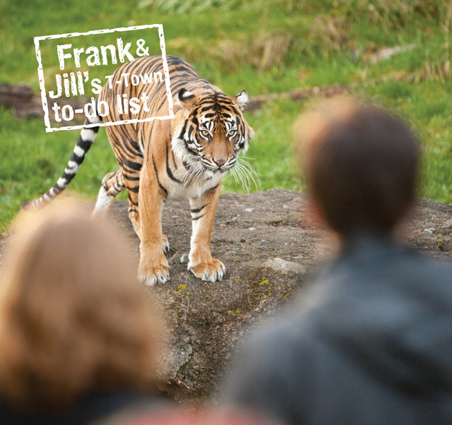 Frank and Jill's Tacoma Tour - Tiger staring them down