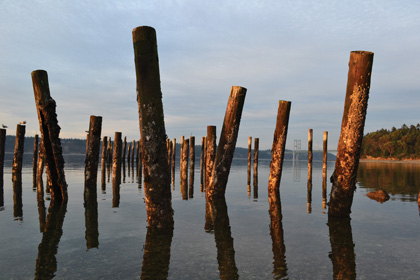 Titlow Beach