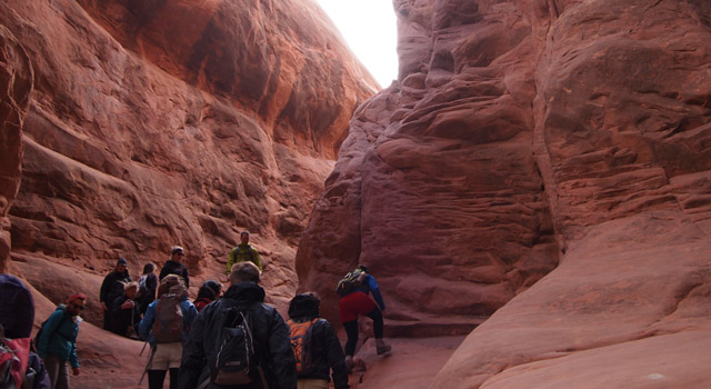 Students hiking Zion National Park