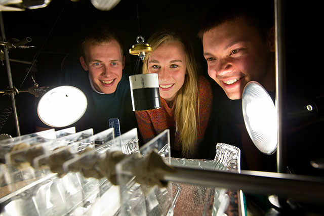 Mark Lee, Mimi Granlund and Matt Hubbard and the apparatus they built to help them understand how the roughness and size of a tongue would affect the amount of water an animal could lap up and still be efficient.