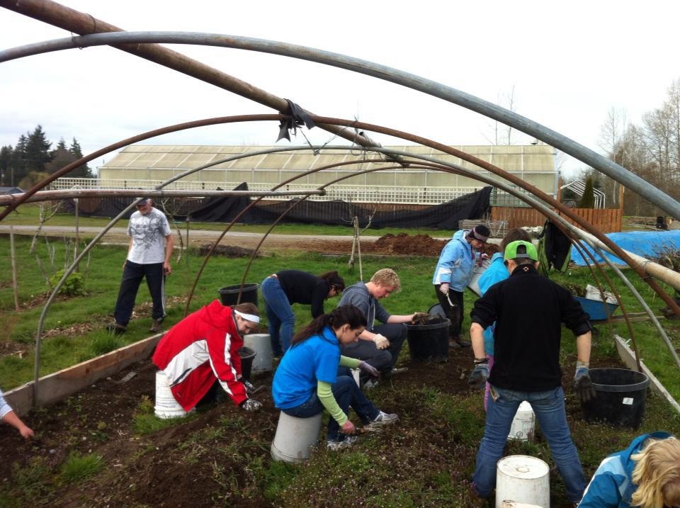 Students working the dirt under the frame of a greenhouse