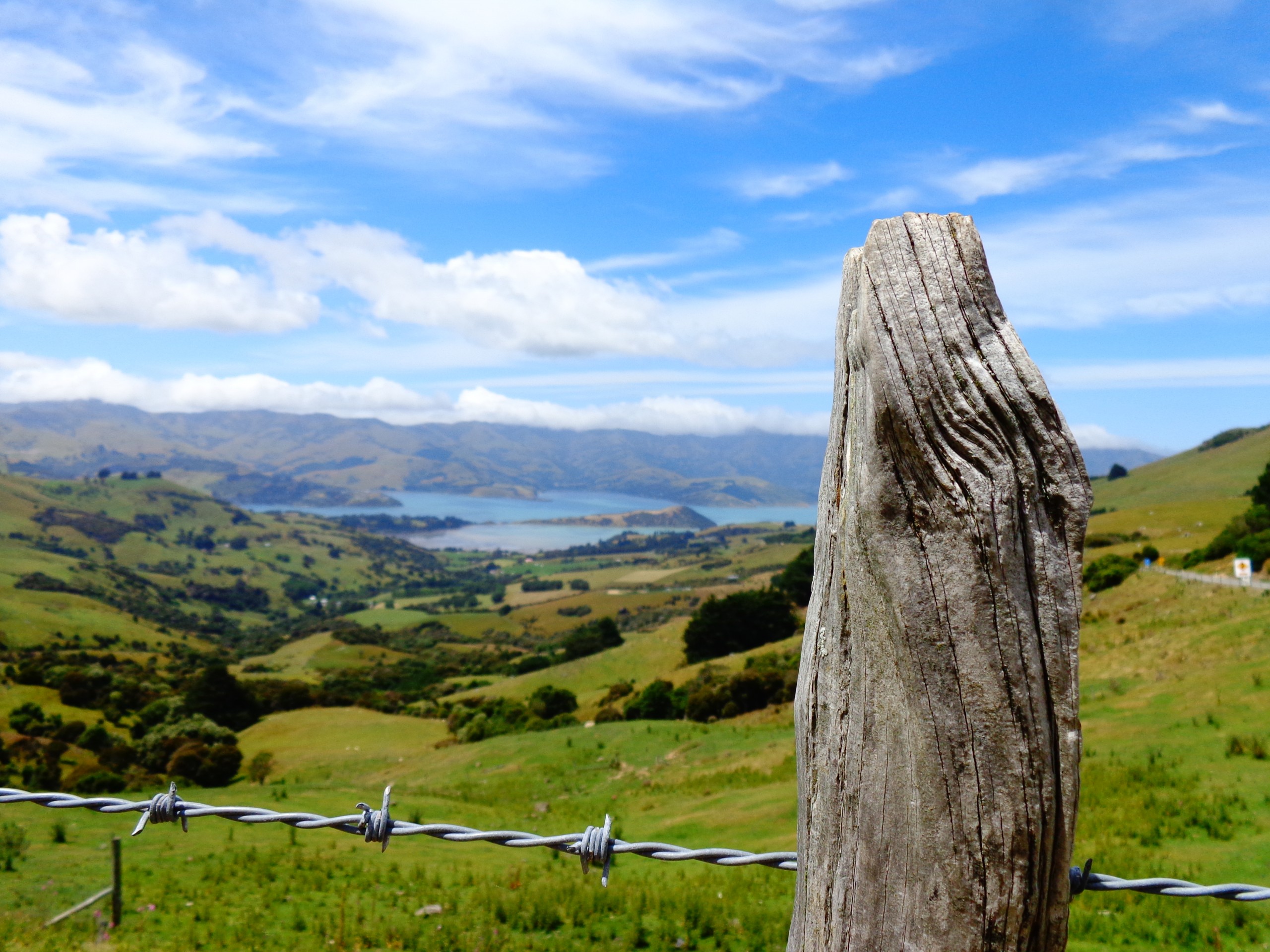 Shelby Hasse took first place in the Natural Landscapes & Seascapes category for this scenic shot taken near Akaroa, New Zealand.