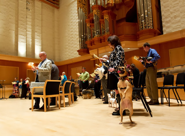 People and pets participate in the 2013 Blessing of the Animals service at PLU. (Photo: John Froschauer/PLU)