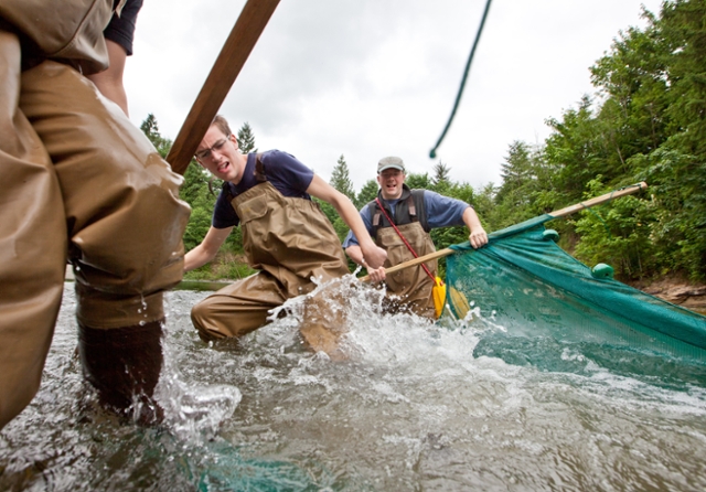 Associate Professor of Biology Jacob Egge works with students during a summer semester research project. (Photo by PLU Photographer John Froschauer)