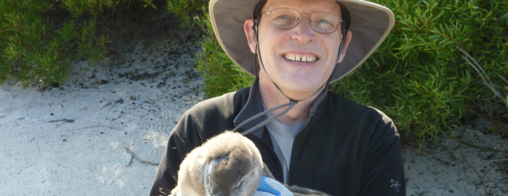 Professor Charles Bergman holds a penguin on South Africa's Robben Island, where he spent two weeks researching penguins for a Smithsonian article. (Photo courtesy of Charles Bergman)
