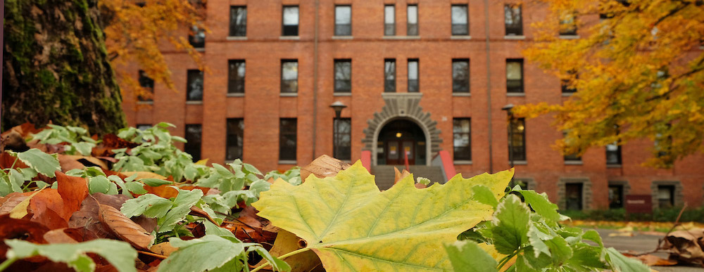 Harstad Hall with fall leaves on the ground.