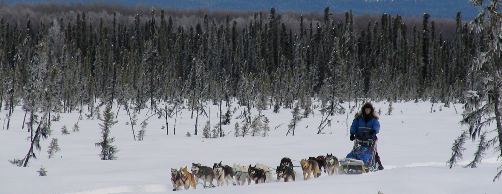 Debbie Moderow is pictured with her sled dog team (courtesy photo).