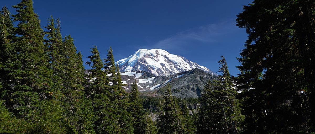 A pacific northwest mountain rises majestically above a hill of evergreens.