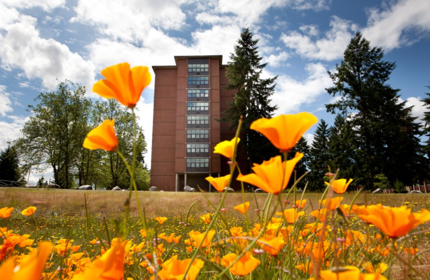 student care network homepage shot flowers on plu campus