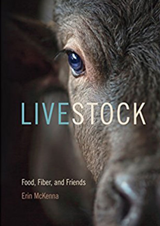 Erin McKenna - Livestock