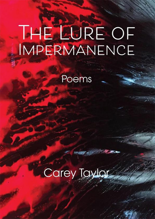 Carey Taylor - The Lure of Impermanence