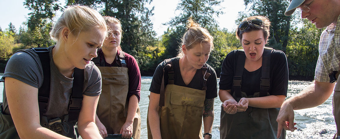 Jacob Egge's biology class collecting specimens in the Nisqually river. Thursday, Sept. 14, 2017. (Photo: John Froschauer/PLU)